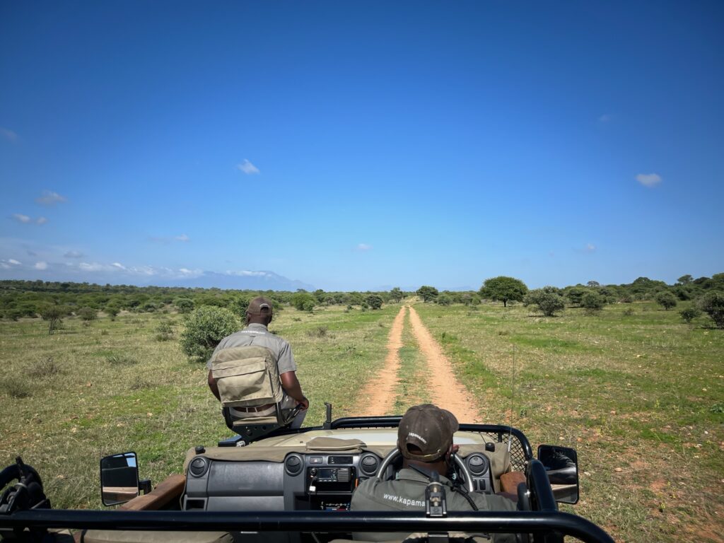 View from Safari Car